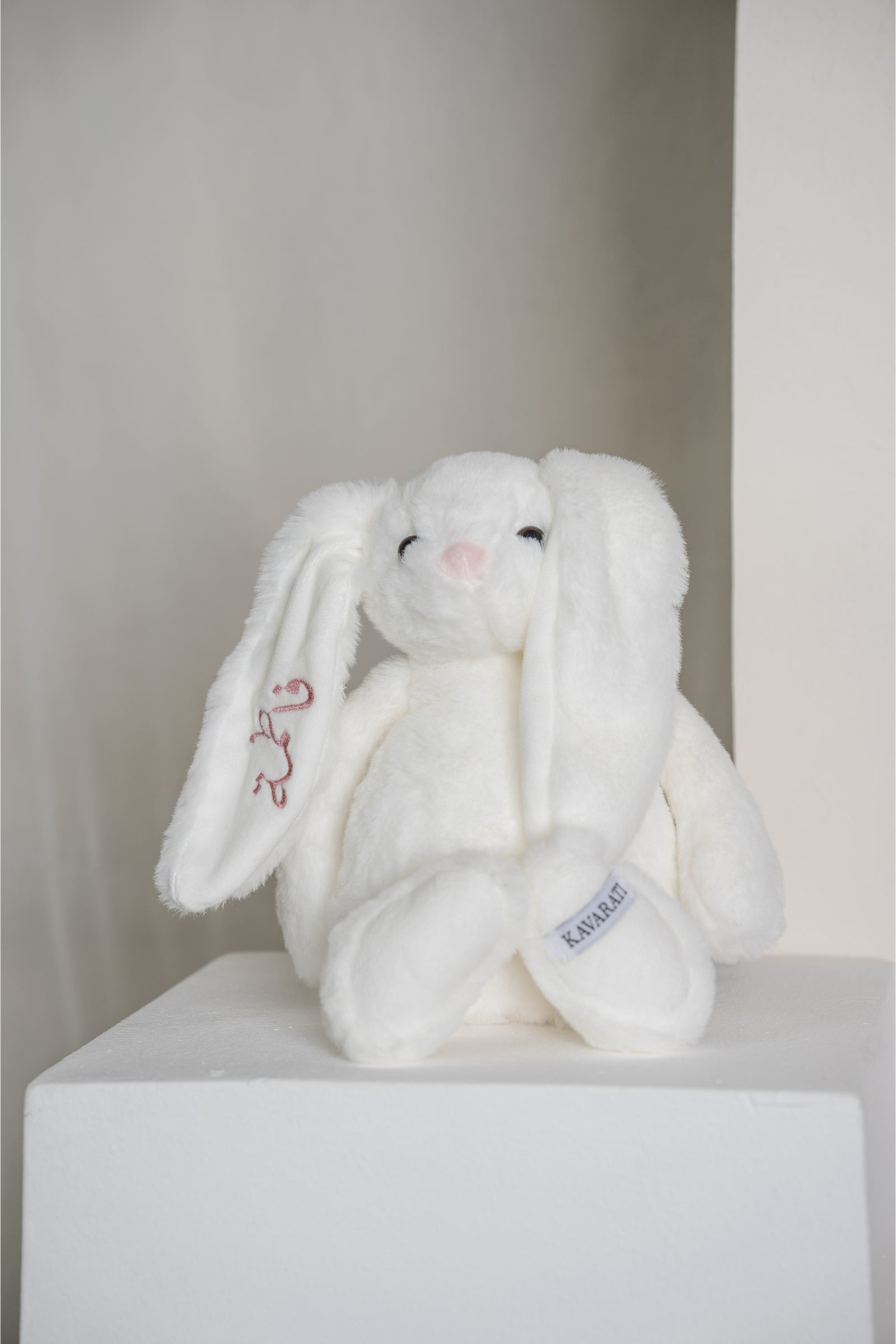 Customizable Fluffy Bunny